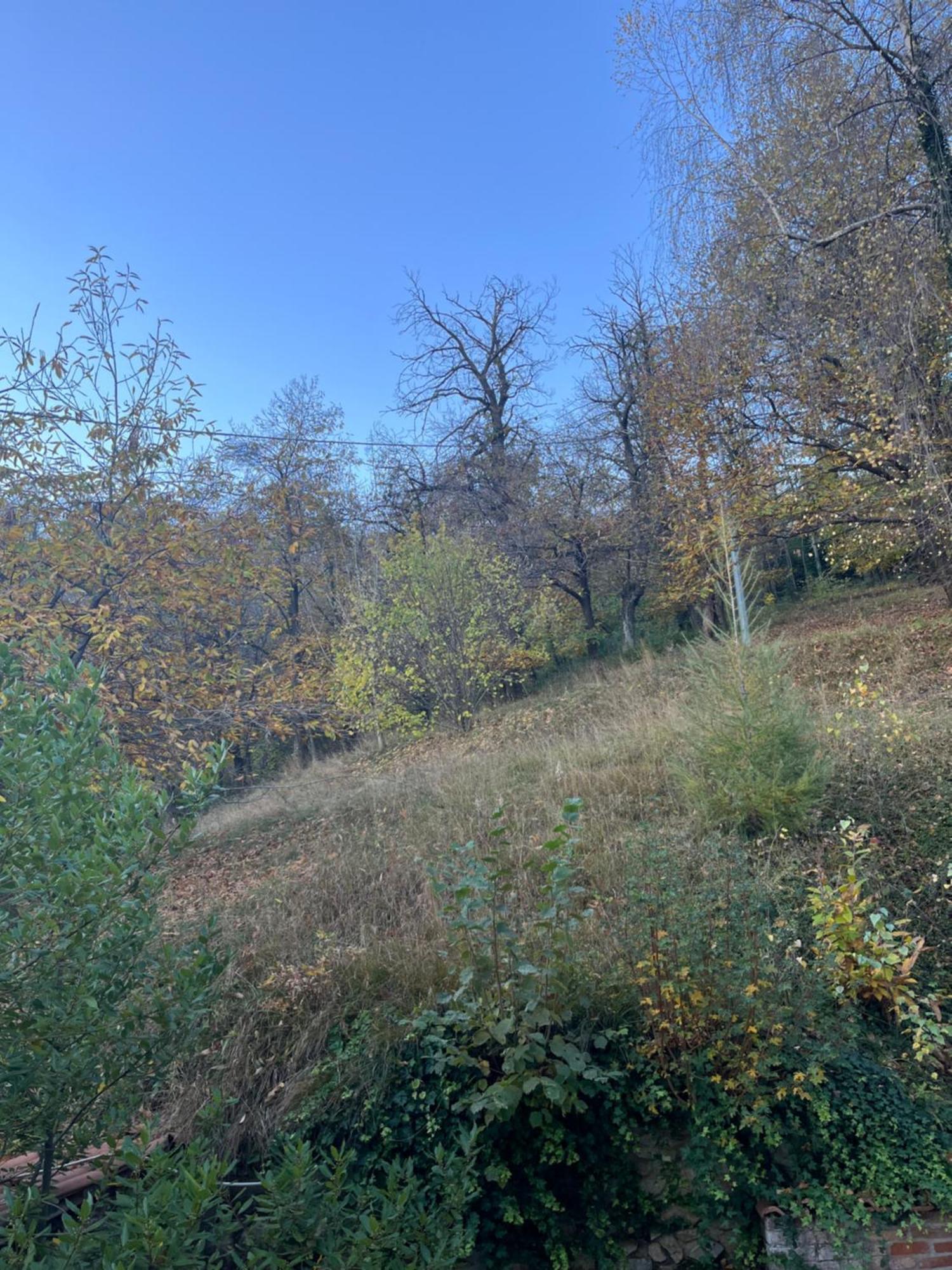 Il Bosco Incantato Borgo San Dalmazzo Buitenkant foto
